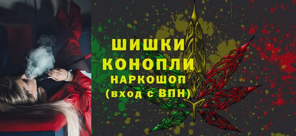 spice Алзамай